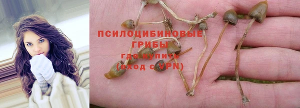 apvp Нязепетровск