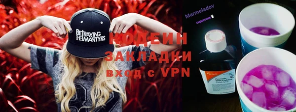 твердый Бикин
