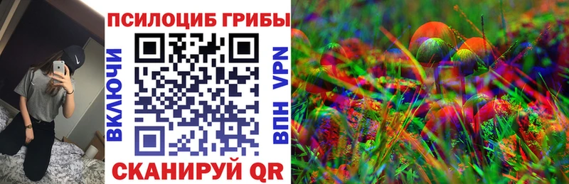 Галлюциногенные грибы Magic Shrooms  Злынка 